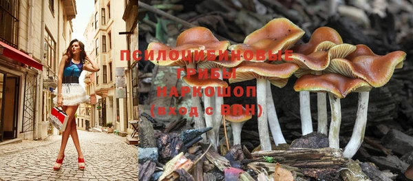 марки lsd Лагань